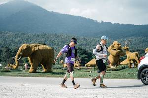 BIB: 
                            <button type="button" onclick="openModal(25926825)" class="btn btn-primary btn-sm float-right btn-popup" data-toggle="modal" data-target=".modal-high-quality">
                        <i class="fas fa-shopping-cart"></i> Add to Cart
                    </button>
                                            <button type="button" onclick="isThisMe(25926825, true)" class="btn btn-success btn-sm float-right btn-popup btn-isme hidden" data-toggle="tooltip" data-placement="bottom" title="นี่คือรูปของคุณใช่ไหม คลิกที่นี่เพื่อเอาเข้าอัลบั้ม">
                        <i class="fas fa-plus"></i> Add to album
                    </button>
                    <button type="button" onclick="isThisMe(25926825, false)" class="btn btn-warning btn-sm float-right btn-popup btn-isnotme hidden">
                        <i class="fas fa-ban"></i> Remove from album
                    </button>