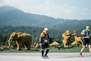 BIB: 
                            <button type="button" onclick="openModal(25884986)" class="btn btn-primary btn-sm float-right btn-popup" data-toggle="modal" data-target=".modal-high-quality">
                        <i class="fas fa-shopping-cart"></i> Add to Cart
                    </button>
                                            <button type="button" onclick="isThisMe(25884986, true)" class="btn btn-success btn-sm float-right btn-popup btn-isme hidden" data-toggle="tooltip" data-placement="bottom" title="นี่คือรูปของคุณใช่ไหม คลิกที่นี่เพื่อเอาเข้าอัลบั้ม">
                        <i class="fas fa-plus"></i> Add to album
                    </button>
                    <button type="button" onclick="isThisMe(25884986, false)" class="btn btn-warning btn-sm float-right btn-popup btn-isnotme hidden">
                        <i class="fas fa-ban"></i> Remove from album
                    </button>