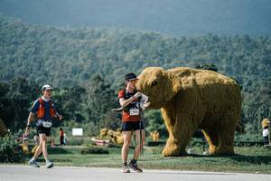 BIB: 
                            <button type="button" onclick="openModal(25921158)" class="btn btn-primary btn-sm float-right btn-popup" data-toggle="modal" data-target=".modal-high-quality">
                        <i class="fas fa-shopping-cart"></i> Add to Cart
                    </button>
                                            <button type="button" onclick="isThisMe(25921158, true)" class="btn btn-success btn-sm float-right btn-popup btn-isme hidden" data-toggle="tooltip" data-placement="bottom" title="นี่คือรูปของคุณใช่ไหม คลิกที่นี่เพื่อเอาเข้าอัลบั้ม">
                        <i class="fas fa-plus"></i> Add to album
                    </button>
                    <button type="button" onclick="isThisMe(25921158, false)" class="btn btn-warning btn-sm float-right btn-popup btn-isnotme hidden">
                        <i class="fas fa-ban"></i> Remove from album
                    </button>