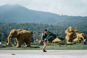 BIB: 
                            <button type="button" onclick="openModal(25904622)" class="btn btn-primary btn-sm float-right btn-popup" data-toggle="modal" data-target=".modal-high-quality">
                        <i class="fas fa-shopping-cart"></i> Add to Cart
                    </button>
                                            <button type="button" onclick="isThisMe(25904622, true)" class="btn btn-success btn-sm float-right btn-popup btn-isme hidden" data-toggle="tooltip" data-placement="bottom" title="นี่คือรูปของคุณใช่ไหม คลิกที่นี่เพื่อเอาเข้าอัลบั้ม">
                        <i class="fas fa-plus"></i> Add to album
                    </button>
                    <button type="button" onclick="isThisMe(25904622, false)" class="btn btn-warning btn-sm float-right btn-popup btn-isnotme hidden">
                        <i class="fas fa-ban"></i> Remove from album
                    </button>