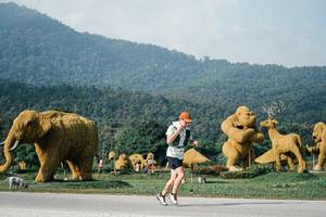 BIB: 
                            <button type="button" onclick="openModal(25871015)" class="btn btn-primary btn-sm float-right btn-popup" data-toggle="modal" data-target=".modal-high-quality">
                        <i class="fas fa-shopping-cart"></i> Add to Cart
                    </button>
                                            <button type="button" onclick="isThisMe(25871015, true)" class="btn btn-success btn-sm float-right btn-popup btn-isme hidden" data-toggle="tooltip" data-placement="bottom" title="นี่คือรูปของคุณใช่ไหม คลิกที่นี่เพื่อเอาเข้าอัลบั้ม">
                        <i class="fas fa-plus"></i> Add to album
                    </button>
                    <button type="button" onclick="isThisMe(25871015, false)" class="btn btn-warning btn-sm float-right btn-popup btn-isnotme hidden">
                        <i class="fas fa-ban"></i> Remove from album
                    </button>