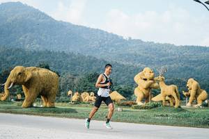 BIB: 
                            <button type="button" onclick="openModal(25869957)" class="btn btn-primary btn-sm float-right btn-popup" data-toggle="modal" data-target=".modal-high-quality">
                        <i class="fas fa-shopping-cart"></i> Add to Cart
                    </button>
                                            <button type="button" onclick="isThisMe(25869957, true)" class="btn btn-success btn-sm float-right btn-popup btn-isme hidden" data-toggle="tooltip" data-placement="bottom" title="นี่คือรูปของคุณใช่ไหม คลิกที่นี่เพื่อเอาเข้าอัลบั้ม">
                        <i class="fas fa-plus"></i> Add to album
                    </button>
                    <button type="button" onclick="isThisMe(25869957, false)" class="btn btn-warning btn-sm float-right btn-popup btn-isnotme hidden">
                        <i class="fas fa-ban"></i> Remove from album
                    </button>