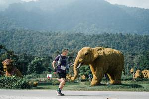 BIB: 
                            <button type="button" onclick="openModal(25893669)" class="btn btn-primary btn-sm float-right btn-popup" data-toggle="modal" data-target=".modal-high-quality">
                        <i class="fas fa-shopping-cart"></i> Add to Cart
                    </button>
                                            <button type="button" onclick="isThisMe(25893669, true)" class="btn btn-success btn-sm float-right btn-popup btn-isme hidden" data-toggle="tooltip" data-placement="bottom" title="นี่คือรูปของคุณใช่ไหม คลิกที่นี่เพื่อเอาเข้าอัลบั้ม">
                        <i class="fas fa-plus"></i> Add to album
                    </button>
                    <button type="button" onclick="isThisMe(25893669, false)" class="btn btn-warning btn-sm float-right btn-popup btn-isnotme hidden">
                        <i class="fas fa-ban"></i> Remove from album
                    </button>