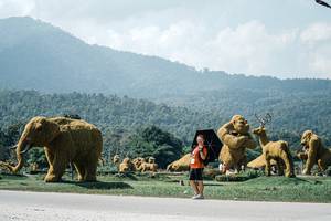 BIB: 
                            <button type="button" onclick="openModal(25980919)" class="btn btn-primary btn-sm float-right btn-popup" data-toggle="modal" data-target=".modal-high-quality">
                        <i class="fas fa-shopping-cart"></i> Add to Cart
                    </button>
                                            <button type="button" onclick="isThisMe(25980919, true)" class="btn btn-success btn-sm float-right btn-popup btn-isme hidden" data-toggle="tooltip" data-placement="bottom" title="นี่คือรูปของคุณใช่ไหม คลิกที่นี่เพื่อเอาเข้าอัลบั้ม">
                        <i class="fas fa-plus"></i> Add to album
                    </button>
                    <button type="button" onclick="isThisMe(25980919, false)" class="btn btn-warning btn-sm float-right btn-popup btn-isnotme hidden">
                        <i class="fas fa-ban"></i> Remove from album
                    </button>