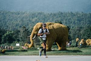 BIB: 
                            <button type="button" onclick="openModal(25906013)" class="btn btn-primary btn-sm float-right btn-popup" data-toggle="modal" data-target=".modal-high-quality">
                        <i class="fas fa-shopping-cart"></i> Add to Cart
                    </button>
                                            <button type="button" onclick="isThisMe(25906013, true)" class="btn btn-success btn-sm float-right btn-popup btn-isme hidden" data-toggle="tooltip" data-placement="bottom" title="นี่คือรูปของคุณใช่ไหม คลิกที่นี่เพื่อเอาเข้าอัลบั้ม">
                        <i class="fas fa-plus"></i> Add to album
                    </button>
                    <button type="button" onclick="isThisMe(25906013, false)" class="btn btn-warning btn-sm float-right btn-popup btn-isnotme hidden">
                        <i class="fas fa-ban"></i> Remove from album
                    </button>