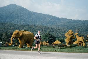 BIB: 
                            <button type="button" onclick="openModal(25870506)" class="btn btn-primary btn-sm float-right btn-popup" data-toggle="modal" data-target=".modal-high-quality">
                        <i class="fas fa-shopping-cart"></i> Add to Cart
                    </button>
                                            <button type="button" onclick="isThisMe(25870506, true)" class="btn btn-success btn-sm float-right btn-popup btn-isme hidden" data-toggle="tooltip" data-placement="bottom" title="นี่คือรูปของคุณใช่ไหม คลิกที่นี่เพื่อเอาเข้าอัลบั้ม">
                        <i class="fas fa-plus"></i> Add to album
                    </button>
                    <button type="button" onclick="isThisMe(25870506, false)" class="btn btn-warning btn-sm float-right btn-popup btn-isnotme hidden">
                        <i class="fas fa-ban"></i> Remove from album
                    </button>