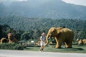 BIB: 
                            <button type="button" onclick="openModal(25885037)" class="btn btn-primary btn-sm float-right btn-popup" data-toggle="modal" data-target=".modal-high-quality">
                        <i class="fas fa-shopping-cart"></i> Add to Cart
                    </button>
                                            <button type="button" onclick="isThisMe(25885037, true)" class="btn btn-success btn-sm float-right btn-popup btn-isme hidden" data-toggle="tooltip" data-placement="bottom" title="นี่คือรูปของคุณใช่ไหม คลิกที่นี่เพื่อเอาเข้าอัลบั้ม">
                        <i class="fas fa-plus"></i> Add to album
                    </button>
                    <button type="button" onclick="isThisMe(25885037, false)" class="btn btn-warning btn-sm float-right btn-popup btn-isnotme hidden">
                        <i class="fas fa-ban"></i> Remove from album
                    </button>