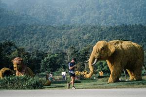 BIB: 
                            <button type="button" onclick="openModal(25871051)" class="btn btn-primary btn-sm float-right btn-popup" data-toggle="modal" data-target=".modal-high-quality">
                        <i class="fas fa-shopping-cart"></i> Add to Cart
                    </button>
                                            <button type="button" onclick="isThisMe(25871051, true)" class="btn btn-success btn-sm float-right btn-popup btn-isme hidden" data-toggle="tooltip" data-placement="bottom" title="นี่คือรูปของคุณใช่ไหม คลิกที่นี่เพื่อเอาเข้าอัลบั้ม">
                        <i class="fas fa-plus"></i> Add to album
                    </button>
                    <button type="button" onclick="isThisMe(25871051, false)" class="btn btn-warning btn-sm float-right btn-popup btn-isnotme hidden">
                        <i class="fas fa-ban"></i> Remove from album
                    </button>