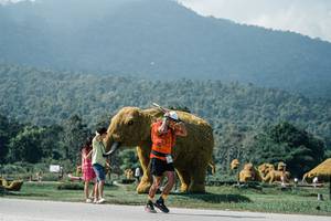 BIB: 
                            <button type="button" onclick="openModal(25955323)" class="btn btn-primary btn-sm float-right btn-popup" data-toggle="modal" data-target=".modal-high-quality">
                        <i class="fas fa-shopping-cart"></i> Add to Cart
                    </button>
                                            <button type="button" onclick="isThisMe(25955323, true)" class="btn btn-success btn-sm float-right btn-popup btn-isme hidden" data-toggle="tooltip" data-placement="bottom" title="นี่คือรูปของคุณใช่ไหม คลิกที่นี่เพื่อเอาเข้าอัลบั้ม">
                        <i class="fas fa-plus"></i> Add to album
                    </button>
                    <button type="button" onclick="isThisMe(25955323, false)" class="btn btn-warning btn-sm float-right btn-popup btn-isnotme hidden">
                        <i class="fas fa-ban"></i> Remove from album
                    </button>