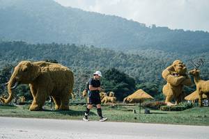 BIB: 
                            <button type="button" onclick="openModal(25963574)" class="btn btn-primary btn-sm float-right btn-popup" data-toggle="modal" data-target=".modal-high-quality">
                        <i class="fas fa-shopping-cart"></i> Add to Cart
                    </button>
                                            <button type="button" onclick="isThisMe(25963574, true)" class="btn btn-success btn-sm float-right btn-popup btn-isme hidden" data-toggle="tooltip" data-placement="bottom" title="นี่คือรูปของคุณใช่ไหม คลิกที่นี่เพื่อเอาเข้าอัลบั้ม">
                        <i class="fas fa-plus"></i> Add to album
                    </button>
                    <button type="button" onclick="isThisMe(25963574, false)" class="btn btn-warning btn-sm float-right btn-popup btn-isnotme hidden">
                        <i class="fas fa-ban"></i> Remove from album
                    </button>