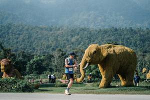 BIB: 
                            <button type="button" onclick="openModal(25878397)" class="btn btn-primary btn-sm float-right btn-popup" data-toggle="modal" data-target=".modal-high-quality">
                        <i class="fas fa-shopping-cart"></i> Add to Cart
                    </button>
                                            <button type="button" onclick="isThisMe(25878397, true)" class="btn btn-success btn-sm float-right btn-popup btn-isme hidden" data-toggle="tooltip" data-placement="bottom" title="นี่คือรูปของคุณใช่ไหม คลิกที่นี่เพื่อเอาเข้าอัลบั้ม">
                        <i class="fas fa-plus"></i> Add to album
                    </button>
                    <button type="button" onclick="isThisMe(25878397, false)" class="btn btn-warning btn-sm float-right btn-popup btn-isnotme hidden">
                        <i class="fas fa-ban"></i> Remove from album
                    </button>