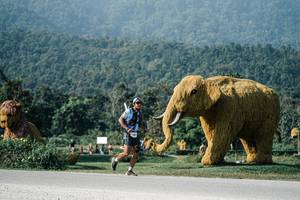 BIB: 
                            <button type="button" onclick="openModal(25873250)" class="btn btn-primary btn-sm float-right btn-popup" data-toggle="modal" data-target=".modal-high-quality">
                        <i class="fas fa-shopping-cart"></i> Add to Cart
                    </button>
                                            <button type="button" onclick="isThisMe(25873250, true)" class="btn btn-success btn-sm float-right btn-popup btn-isme hidden" data-toggle="tooltip" data-placement="bottom" title="นี่คือรูปของคุณใช่ไหม คลิกที่นี่เพื่อเอาเข้าอัลบั้ม">
                        <i class="fas fa-plus"></i> Add to album
                    </button>
                    <button type="button" onclick="isThisMe(25873250, false)" class="btn btn-warning btn-sm float-right btn-popup btn-isnotme hidden">
                        <i class="fas fa-ban"></i> Remove from album
                    </button>