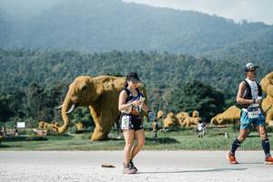 BIB: 
                            <button type="button" onclick="openModal(25901396)" class="btn btn-primary btn-sm float-right btn-popup" data-toggle="modal" data-target=".modal-high-quality">
                        <i class="fas fa-shopping-cart"></i> Add to Cart
                    </button>
                                            <button type="button" onclick="isThisMe(25901396, true)" class="btn btn-success btn-sm float-right btn-popup btn-isme hidden" data-toggle="tooltip" data-placement="bottom" title="นี่คือรูปของคุณใช่ไหม คลิกที่นี่เพื่อเอาเข้าอัลบั้ม">
                        <i class="fas fa-plus"></i> Add to album
                    </button>
                    <button type="button" onclick="isThisMe(25901396, false)" class="btn btn-warning btn-sm float-right btn-popup btn-isnotme hidden">
                        <i class="fas fa-ban"></i> Remove from album
                    </button>