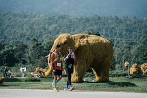 BIB: 
                            <button type="button" onclick="openModal(25916015)" class="btn btn-primary btn-sm float-right btn-popup" data-toggle="modal" data-target=".modal-high-quality">
                        <i class="fas fa-shopping-cart"></i> Add to Cart
                    </button>
                                            <button type="button" onclick="isThisMe(25916015, true)" class="btn btn-success btn-sm float-right btn-popup btn-isme hidden" data-toggle="tooltip" data-placement="bottom" title="นี่คือรูปของคุณใช่ไหม คลิกที่นี่เพื่อเอาเข้าอัลบั้ม">
                        <i class="fas fa-plus"></i> Add to album
                    </button>
                    <button type="button" onclick="isThisMe(25916015, false)" class="btn btn-warning btn-sm float-right btn-popup btn-isnotme hidden">
                        <i class="fas fa-ban"></i> Remove from album
                    </button>