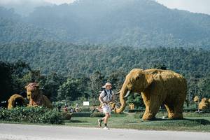 BIB: 
                            <button type="button" onclick="openModal(25885027)" class="btn btn-primary btn-sm float-right btn-popup" data-toggle="modal" data-target=".modal-high-quality">
                        <i class="fas fa-shopping-cart"></i> Add to Cart
                    </button>
                                            <button type="button" onclick="isThisMe(25885027, true)" class="btn btn-success btn-sm float-right btn-popup btn-isme hidden" data-toggle="tooltip" data-placement="bottom" title="นี่คือรูปของคุณใช่ไหม คลิกที่นี่เพื่อเอาเข้าอัลบั้ม">
                        <i class="fas fa-plus"></i> Add to album
                    </button>
                    <button type="button" onclick="isThisMe(25885027, false)" class="btn btn-warning btn-sm float-right btn-popup btn-isnotme hidden">
                        <i class="fas fa-ban"></i> Remove from album
                    </button>