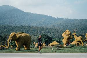 BIB: 
                            <button type="button" onclick="openModal(25872229)" class="btn btn-primary btn-sm float-right btn-popup" data-toggle="modal" data-target=".modal-high-quality">
                        <i class="fas fa-shopping-cart"></i> Add to Cart
                    </button>
                                            <button type="button" onclick="isThisMe(25872229, true)" class="btn btn-success btn-sm float-right btn-popup btn-isme hidden" data-toggle="tooltip" data-placement="bottom" title="นี่คือรูปของคุณใช่ไหม คลิกที่นี่เพื่อเอาเข้าอัลบั้ม">
                        <i class="fas fa-plus"></i> Add to album
                    </button>
                    <button type="button" onclick="isThisMe(25872229, false)" class="btn btn-warning btn-sm float-right btn-popup btn-isnotme hidden">
                        <i class="fas fa-ban"></i> Remove from album
                    </button>