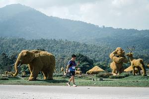 BIB: 
                            <button type="button" onclick="openModal(25969402)" class="btn btn-primary btn-sm float-right btn-popup" data-toggle="modal" data-target=".modal-high-quality">
                        <i class="fas fa-shopping-cart"></i> Add to Cart
                    </button>
                                            <button type="button" onclick="isThisMe(25969402, true)" class="btn btn-success btn-sm float-right btn-popup btn-isme hidden" data-toggle="tooltip" data-placement="bottom" title="นี่คือรูปของคุณใช่ไหม คลิกที่นี่เพื่อเอาเข้าอัลบั้ม">
                        <i class="fas fa-plus"></i> Add to album
                    </button>
                    <button type="button" onclick="isThisMe(25969402, false)" class="btn btn-warning btn-sm float-right btn-popup btn-isnotme hidden">
                        <i class="fas fa-ban"></i> Remove from album
                    </button>