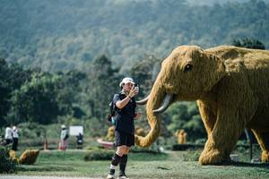 BIB: 
                            <button type="button" onclick="openModal(25963309)" class="btn btn-primary btn-sm float-right btn-popup" data-toggle="modal" data-target=".modal-high-quality">
                        <i class="fas fa-shopping-cart"></i> Add to Cart
                    </button>
                                            <button type="button" onclick="isThisMe(25963309, true)" class="btn btn-success btn-sm float-right btn-popup btn-isme hidden" data-toggle="tooltip" data-placement="bottom" title="นี่คือรูปของคุณใช่ไหม คลิกที่นี่เพื่อเอาเข้าอัลบั้ม">
                        <i class="fas fa-plus"></i> Add to album
                    </button>
                    <button type="button" onclick="isThisMe(25963309, false)" class="btn btn-warning btn-sm float-right btn-popup btn-isnotme hidden">
                        <i class="fas fa-ban"></i> Remove from album
                    </button>