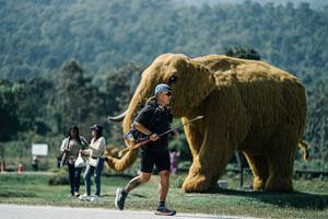 BIB: 
                            <button type="button" onclick="openModal(25971254)" class="btn btn-primary btn-sm float-right btn-popup" data-toggle="modal" data-target=".modal-high-quality">
                        <i class="fas fa-shopping-cart"></i> Add to Cart
                    </button>
                                            <button type="button" onclick="isThisMe(25971254, true)" class="btn btn-success btn-sm float-right btn-popup btn-isme hidden" data-toggle="tooltip" data-placement="bottom" title="นี่คือรูปของคุณใช่ไหม คลิกที่นี่เพื่อเอาเข้าอัลบั้ม">
                        <i class="fas fa-plus"></i> Add to album
                    </button>
                    <button type="button" onclick="isThisMe(25971254, false)" class="btn btn-warning btn-sm float-right btn-popup btn-isnotme hidden">
                        <i class="fas fa-ban"></i> Remove from album
                    </button>