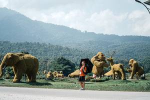 BIB: 
                            <button type="button" onclick="openModal(25980793)" class="btn btn-primary btn-sm float-right btn-popup" data-toggle="modal" data-target=".modal-high-quality">
                        <i class="fas fa-shopping-cart"></i> Add to Cart
                    </button>
                                            <button type="button" onclick="isThisMe(25980793, true)" class="btn btn-success btn-sm float-right btn-popup btn-isme hidden" data-toggle="tooltip" data-placement="bottom" title="นี่คือรูปของคุณใช่ไหม คลิกที่นี่เพื่อเอาเข้าอัลบั้ม">
                        <i class="fas fa-plus"></i> Add to album
                    </button>
                    <button type="button" onclick="isThisMe(25980793, false)" class="btn btn-warning btn-sm float-right btn-popup btn-isnotme hidden">
                        <i class="fas fa-ban"></i> Remove from album
                    </button>