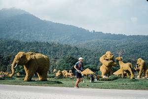 BIB: 
                            <button type="button" onclick="openModal(25875872)" class="btn btn-primary btn-sm float-right btn-popup" data-toggle="modal" data-target=".modal-high-quality">
                        <i class="fas fa-shopping-cart"></i> Add to Cart
                    </button>
                                            <button type="button" onclick="isThisMe(25875872, true)" class="btn btn-success btn-sm float-right btn-popup btn-isme hidden" data-toggle="tooltip" data-placement="bottom" title="นี่คือรูปของคุณใช่ไหม คลิกที่นี่เพื่อเอาเข้าอัลบั้ม">
                        <i class="fas fa-plus"></i> Add to album
                    </button>
                    <button type="button" onclick="isThisMe(25875872, false)" class="btn btn-warning btn-sm float-right btn-popup btn-isnotme hidden">
                        <i class="fas fa-ban"></i> Remove from album
                    </button>