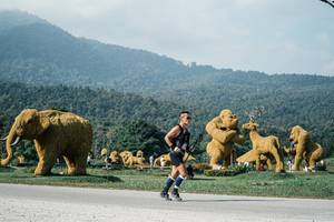 BIB: 
                            <button type="button" onclick="openModal(25876575)" class="btn btn-primary btn-sm float-right btn-popup" data-toggle="modal" data-target=".modal-high-quality">
                        <i class="fas fa-shopping-cart"></i> Add to Cart
                    </button>
                                            <button type="button" onclick="isThisMe(25876575, true)" class="btn btn-success btn-sm float-right btn-popup btn-isme hidden" data-toggle="tooltip" data-placement="bottom" title="นี่คือรูปของคุณใช่ไหม คลิกที่นี่เพื่อเอาเข้าอัลบั้ม">
                        <i class="fas fa-plus"></i> Add to album
                    </button>
                    <button type="button" onclick="isThisMe(25876575, false)" class="btn btn-warning btn-sm float-right btn-popup btn-isnotme hidden">
                        <i class="fas fa-ban"></i> Remove from album
                    </button>