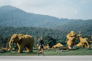 BIB: 
                            <button type="button" onclick="openModal(25872227)" class="btn btn-primary btn-sm float-right btn-popup" data-toggle="modal" data-target=".modal-high-quality">
                        <i class="fas fa-shopping-cart"></i> Add to Cart
                    </button>
                                            <button type="button" onclick="isThisMe(25872227, true)" class="btn btn-success btn-sm float-right btn-popup btn-isme hidden" data-toggle="tooltip" data-placement="bottom" title="นี่คือรูปของคุณใช่ไหม คลิกที่นี่เพื่อเอาเข้าอัลบั้ม">
                        <i class="fas fa-plus"></i> Add to album
                    </button>
                    <button type="button" onclick="isThisMe(25872227, false)" class="btn btn-warning btn-sm float-right btn-popup btn-isnotme hidden">
                        <i class="fas fa-ban"></i> Remove from album
                    </button>