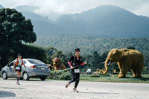 BIB: 
                            <button type="button" onclick="openModal(25953757)" class="btn btn-primary btn-sm float-right btn-popup" data-toggle="modal" data-target=".modal-high-quality">
                        <i class="fas fa-shopping-cart"></i> Add to Cart
                    </button>
                                            <button type="button" onclick="isThisMe(25953757, true)" class="btn btn-success btn-sm float-right btn-popup btn-isme hidden" data-toggle="tooltip" data-placement="bottom" title="นี่คือรูปของคุณใช่ไหม คลิกที่นี่เพื่อเอาเข้าอัลบั้ม">
                        <i class="fas fa-plus"></i> Add to album
                    </button>
                    <button type="button" onclick="isThisMe(25953757, false)" class="btn btn-warning btn-sm float-right btn-popup btn-isnotme hidden">
                        <i class="fas fa-ban"></i> Remove from album
                    </button>