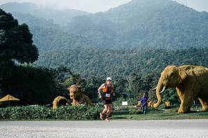 BIB: 
                            <button type="button" onclick="openModal(25872005)" class="btn btn-primary btn-sm float-right btn-popup" data-toggle="modal" data-target=".modal-high-quality">
                        <i class="fas fa-shopping-cart"></i> Add to Cart
                    </button>
                                            <button type="button" onclick="isThisMe(25872005, true)" class="btn btn-success btn-sm float-right btn-popup btn-isme hidden" data-toggle="tooltip" data-placement="bottom" title="นี่คือรูปของคุณใช่ไหม คลิกที่นี่เพื่อเอาเข้าอัลบั้ม">
                        <i class="fas fa-plus"></i> Add to album
                    </button>
                    <button type="button" onclick="isThisMe(25872005, false)" class="btn btn-warning btn-sm float-right btn-popup btn-isnotme hidden">
                        <i class="fas fa-ban"></i> Remove from album
                    </button>