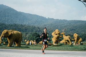 BIB: 
                            <button type="button" onclick="openModal(25871567)" class="btn btn-primary btn-sm float-right btn-popup" data-toggle="modal" data-target=".modal-high-quality">
                        <i class="fas fa-shopping-cart"></i> Add to Cart
                    </button>
                                            <button type="button" onclick="isThisMe(25871567, true)" class="btn btn-success btn-sm float-right btn-popup btn-isme hidden" data-toggle="tooltip" data-placement="bottom" title="นี่คือรูปของคุณใช่ไหม คลิกที่นี่เพื่อเอาเข้าอัลบั้ม">
                        <i class="fas fa-plus"></i> Add to album
                    </button>
                    <button type="button" onclick="isThisMe(25871567, false)" class="btn btn-warning btn-sm float-right btn-popup btn-isnotme hidden">
                        <i class="fas fa-ban"></i> Remove from album
                    </button>