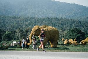 BIB: 
                            <button type="button" onclick="openModal(25873776)" class="btn btn-primary btn-sm float-right btn-popup" data-toggle="modal" data-target=".modal-high-quality">
                        <i class="fas fa-shopping-cart"></i> Add to Cart
                    </button>
                                            <button type="button" onclick="isThisMe(25873776, true)" class="btn btn-success btn-sm float-right btn-popup btn-isme hidden" data-toggle="tooltip" data-placement="bottom" title="นี่คือรูปของคุณใช่ไหม คลิกที่นี่เพื่อเอาเข้าอัลบั้ม">
                        <i class="fas fa-plus"></i> Add to album
                    </button>
                    <button type="button" onclick="isThisMe(25873776, false)" class="btn btn-warning btn-sm float-right btn-popup btn-isnotme hidden">
                        <i class="fas fa-ban"></i> Remove from album
                    </button>