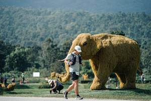 BIB: 
                            <button type="button" onclick="openModal(25923568)" class="btn btn-primary btn-sm float-right btn-popup" data-toggle="modal" data-target=".modal-high-quality">
                        <i class="fas fa-shopping-cart"></i> Add to Cart
                    </button>
                                            <button type="button" onclick="isThisMe(25923568, true)" class="btn btn-success btn-sm float-right btn-popup btn-isme hidden" data-toggle="tooltip" data-placement="bottom" title="นี่คือรูปของคุณใช่ไหม คลิกที่นี่เพื่อเอาเข้าอัลบั้ม">
                        <i class="fas fa-plus"></i> Add to album
                    </button>
                    <button type="button" onclick="isThisMe(25923568, false)" class="btn btn-warning btn-sm float-right btn-popup btn-isnotme hidden">
                        <i class="fas fa-ban"></i> Remove from album
                    </button>