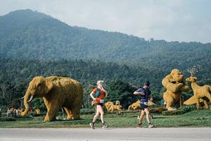 BIB: 
                            <button type="button" onclick="openModal(25871061)" class="btn btn-primary btn-sm float-right btn-popup" data-toggle="modal" data-target=".modal-high-quality">
                        <i class="fas fa-shopping-cart"></i> Add to Cart
                    </button>
                                            <button type="button" onclick="isThisMe(25871061, true)" class="btn btn-success btn-sm float-right btn-popup btn-isme hidden" data-toggle="tooltip" data-placement="bottom" title="นี่คือรูปของคุณใช่ไหม คลิกที่นี่เพื่อเอาเข้าอัลบั้ม">
                        <i class="fas fa-plus"></i> Add to album
                    </button>
                    <button type="button" onclick="isThisMe(25871061, false)" class="btn btn-warning btn-sm float-right btn-popup btn-isnotme hidden">
                        <i class="fas fa-ban"></i> Remove from album
                    </button>