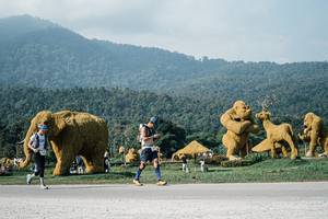 BIB: 
                            <button type="button" onclick="openModal(25874990)" class="btn btn-primary btn-sm float-right btn-popup" data-toggle="modal" data-target=".modal-high-quality">
                        <i class="fas fa-shopping-cart"></i> Add to Cart
                    </button>
                                            <button type="button" onclick="isThisMe(25874990, true)" class="btn btn-success btn-sm float-right btn-popup btn-isme hidden" data-toggle="tooltip" data-placement="bottom" title="นี่คือรูปของคุณใช่ไหม คลิกที่นี่เพื่อเอาเข้าอัลบั้ม">
                        <i class="fas fa-plus"></i> Add to album
                    </button>
                    <button type="button" onclick="isThisMe(25874990, false)" class="btn btn-warning btn-sm float-right btn-popup btn-isnotme hidden">
                        <i class="fas fa-ban"></i> Remove from album
                    </button>