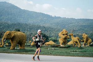 BIB: 
                            <button type="button" onclick="openModal(25870257)" class="btn btn-primary btn-sm float-right btn-popup" data-toggle="modal" data-target=".modal-high-quality">
                        <i class="fas fa-shopping-cart"></i> Add to Cart
                    </button>
                                            <button type="button" onclick="isThisMe(25870257, true)" class="btn btn-success btn-sm float-right btn-popup btn-isme hidden" data-toggle="tooltip" data-placement="bottom" title="นี่คือรูปของคุณใช่ไหม คลิกที่นี่เพื่อเอาเข้าอัลบั้ม">
                        <i class="fas fa-plus"></i> Add to album
                    </button>
                    <button type="button" onclick="isThisMe(25870257, false)" class="btn btn-warning btn-sm float-right btn-popup btn-isnotme hidden">
                        <i class="fas fa-ban"></i> Remove from album
                    </button>