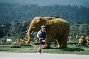 BIB: 
                            <button type="button" onclick="openModal(25963965)" class="btn btn-primary btn-sm float-right btn-popup" data-toggle="modal" data-target=".modal-high-quality">
                        <i class="fas fa-shopping-cart"></i> Add to Cart
                    </button>
                                            <button type="button" onclick="isThisMe(25963965, true)" class="btn btn-success btn-sm float-right btn-popup btn-isme hidden" data-toggle="tooltip" data-placement="bottom" title="นี่คือรูปของคุณใช่ไหม คลิกที่นี่เพื่อเอาเข้าอัลบั้ม">
                        <i class="fas fa-plus"></i> Add to album
                    </button>
                    <button type="button" onclick="isThisMe(25963965, false)" class="btn btn-warning btn-sm float-right btn-popup btn-isnotme hidden">
                        <i class="fas fa-ban"></i> Remove from album
                    </button>