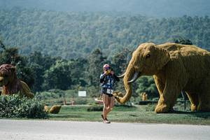 BIB: 
                            <button type="button" onclick="openModal(25969513)" class="btn btn-primary btn-sm float-right btn-popup" data-toggle="modal" data-target=".modal-high-quality">
                        <i class="fas fa-shopping-cart"></i> Add to Cart
                    </button>
                                            <button type="button" onclick="isThisMe(25969513, true)" class="btn btn-success btn-sm float-right btn-popup btn-isme hidden" data-toggle="tooltip" data-placement="bottom" title="นี่คือรูปของคุณใช่ไหม คลิกที่นี่เพื่อเอาเข้าอัลบั้ม">
                        <i class="fas fa-plus"></i> Add to album
                    </button>
                    <button type="button" onclick="isThisMe(25969513, false)" class="btn btn-warning btn-sm float-right btn-popup btn-isnotme hidden">
                        <i class="fas fa-ban"></i> Remove from album
                    </button>