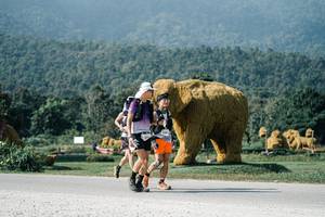 BIB: 
                            <button type="button" onclick="openModal(25885547)" class="btn btn-primary btn-sm float-right btn-popup" data-toggle="modal" data-target=".modal-high-quality">
                        <i class="fas fa-shopping-cart"></i> Add to Cart
                    </button>
                                            <button type="button" onclick="isThisMe(25885547, true)" class="btn btn-success btn-sm float-right btn-popup btn-isme hidden" data-toggle="tooltip" data-placement="bottom" title="นี่คือรูปของคุณใช่ไหม คลิกที่นี่เพื่อเอาเข้าอัลบั้ม">
                        <i class="fas fa-plus"></i> Add to album
                    </button>
                    <button type="button" onclick="isThisMe(25885547, false)" class="btn btn-warning btn-sm float-right btn-popup btn-isnotme hidden">
                        <i class="fas fa-ban"></i> Remove from album
                    </button>