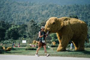 BIB: 
                            <button type="button" onclick="openModal(25931398)" class="btn btn-primary btn-sm float-right btn-popup" data-toggle="modal" data-target=".modal-high-quality">
                        <i class="fas fa-shopping-cart"></i> Add to Cart
                    </button>
                                            <button type="button" onclick="isThisMe(25931398, true)" class="btn btn-success btn-sm float-right btn-popup btn-isme hidden" data-toggle="tooltip" data-placement="bottom" title="นี่คือรูปของคุณใช่ไหม คลิกที่นี่เพื่อเอาเข้าอัลบั้ม">
                        <i class="fas fa-plus"></i> Add to album
                    </button>
                    <button type="button" onclick="isThisMe(25931398, false)" class="btn btn-warning btn-sm float-right btn-popup btn-isnotme hidden">
                        <i class="fas fa-ban"></i> Remove from album
                    </button>