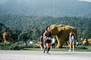 BIB: 
                            <button type="button" onclick="openModal(25883883)" class="btn btn-primary btn-sm float-right btn-popup" data-toggle="modal" data-target=".modal-high-quality">
                        <i class="fas fa-shopping-cart"></i> Add to Cart
                    </button>
                                            <button type="button" onclick="isThisMe(25883883, true)" class="btn btn-success btn-sm float-right btn-popup btn-isme hidden" data-toggle="tooltip" data-placement="bottom" title="นี่คือรูปของคุณใช่ไหม คลิกที่นี่เพื่อเอาเข้าอัลบั้ม">
                        <i class="fas fa-plus"></i> Add to album
                    </button>
                    <button type="button" onclick="isThisMe(25883883, false)" class="btn btn-warning btn-sm float-right btn-popup btn-isnotme hidden">
                        <i class="fas fa-ban"></i> Remove from album
                    </button>