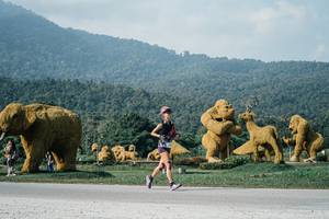 BIB: 
                            <button type="button" onclick="openModal(25873820)" class="btn btn-primary btn-sm float-right btn-popup" data-toggle="modal" data-target=".modal-high-quality">
                        <i class="fas fa-shopping-cart"></i> Add to Cart
                    </button>
                                            <button type="button" onclick="isThisMe(25873820, true)" class="btn btn-success btn-sm float-right btn-popup btn-isme hidden" data-toggle="tooltip" data-placement="bottom" title="นี่คือรูปของคุณใช่ไหม คลิกที่นี่เพื่อเอาเข้าอัลบั้ม">
                        <i class="fas fa-plus"></i> Add to album
                    </button>
                    <button type="button" onclick="isThisMe(25873820, false)" class="btn btn-warning btn-sm float-right btn-popup btn-isnotme hidden">
                        <i class="fas fa-ban"></i> Remove from album
                    </button>