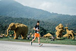 BIB: 
                            <button type="button" onclick="openModal(25883351)" class="btn btn-primary btn-sm float-right btn-popup" data-toggle="modal" data-target=".modal-high-quality">
                        <i class="fas fa-shopping-cart"></i> Add to Cart
                    </button>
                                            <button type="button" onclick="isThisMe(25883351, true)" class="btn btn-success btn-sm float-right btn-popup btn-isme hidden" data-toggle="tooltip" data-placement="bottom" title="นี่คือรูปของคุณใช่ไหม คลิกที่นี่เพื่อเอาเข้าอัลบั้ม">
                        <i class="fas fa-plus"></i> Add to album
                    </button>
                    <button type="button" onclick="isThisMe(25883351, false)" class="btn btn-warning btn-sm float-right btn-popup btn-isnotme hidden">
                        <i class="fas fa-ban"></i> Remove from album
                    </button>