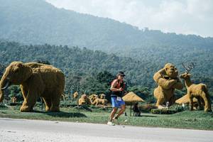 BIB: 
                            <button type="button" onclick="openModal(25974059)" class="btn btn-primary btn-sm float-right btn-popup" data-toggle="modal" data-target=".modal-high-quality">
                        <i class="fas fa-shopping-cart"></i> Add to Cart
                    </button>
                                            <button type="button" onclick="isThisMe(25974059, true)" class="btn btn-success btn-sm float-right btn-popup btn-isme hidden" data-toggle="tooltip" data-placement="bottom" title="นี่คือรูปของคุณใช่ไหม คลิกที่นี่เพื่อเอาเข้าอัลบั้ม">
                        <i class="fas fa-plus"></i> Add to album
                    </button>
                    <button type="button" onclick="isThisMe(25974059, false)" class="btn btn-warning btn-sm float-right btn-popup btn-isnotme hidden">
                        <i class="fas fa-ban"></i> Remove from album
                    </button>