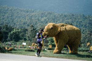 BIB: 
                            <button type="button" onclick="openModal(25932868)" class="btn btn-primary btn-sm float-right btn-popup" data-toggle="modal" data-target=".modal-high-quality">
                        <i class="fas fa-shopping-cart"></i> Add to Cart
                    </button>
                                            <button type="button" onclick="isThisMe(25932868, true)" class="btn btn-success btn-sm float-right btn-popup btn-isme hidden" data-toggle="tooltip" data-placement="bottom" title="นี่คือรูปของคุณใช่ไหม คลิกที่นี่เพื่อเอาเข้าอัลบั้ม">
                        <i class="fas fa-plus"></i> Add to album
                    </button>
                    <button type="button" onclick="isThisMe(25932868, false)" class="btn btn-warning btn-sm float-right btn-popup btn-isnotme hidden">
                        <i class="fas fa-ban"></i> Remove from album
                    </button>