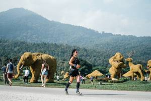 BIB: 
                            <button type="button" onclick="openModal(25883915)" class="btn btn-primary btn-sm float-right btn-popup" data-toggle="modal" data-target=".modal-high-quality">
                        <i class="fas fa-shopping-cart"></i> Add to Cart
                    </button>
                                            <button type="button" onclick="isThisMe(25883915, true)" class="btn btn-success btn-sm float-right btn-popup btn-isme hidden" data-toggle="tooltip" data-placement="bottom" title="นี่คือรูปของคุณใช่ไหม คลิกที่นี่เพื่อเอาเข้าอัลบั้ม">
                        <i class="fas fa-plus"></i> Add to album
                    </button>
                    <button type="button" onclick="isThisMe(25883915, false)" class="btn btn-warning btn-sm float-right btn-popup btn-isnotme hidden">
                        <i class="fas fa-ban"></i> Remove from album
                    </button>