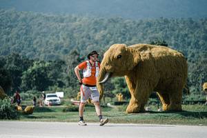 BIB: 
                            <button type="button" onclick="openModal(25922411)" class="btn btn-primary btn-sm float-right btn-popup" data-toggle="modal" data-target=".modal-high-quality">
                        <i class="fas fa-shopping-cart"></i> Add to Cart
                    </button>
                                            <button type="button" onclick="isThisMe(25922411, true)" class="btn btn-success btn-sm float-right btn-popup btn-isme hidden" data-toggle="tooltip" data-placement="bottom" title="นี่คือรูปของคุณใช่ไหม คลิกที่นี่เพื่อเอาเข้าอัลบั้ม">
                        <i class="fas fa-plus"></i> Add to album
                    </button>
                    <button type="button" onclick="isThisMe(25922411, false)" class="btn btn-warning btn-sm float-right btn-popup btn-isnotme hidden">
                        <i class="fas fa-ban"></i> Remove from album
                    </button>