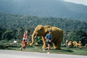 BIB: 
                            <button type="button" onclick="openModal(25887846)" class="btn btn-primary btn-sm float-right btn-popup" data-toggle="modal" data-target=".modal-high-quality">
                        <i class="fas fa-shopping-cart"></i> Add to Cart
                    </button>
                                            <button type="button" onclick="isThisMe(25887846, true)" class="btn btn-success btn-sm float-right btn-popup btn-isme hidden" data-toggle="tooltip" data-placement="bottom" title="นี่คือรูปของคุณใช่ไหม คลิกที่นี่เพื่อเอาเข้าอัลบั้ม">
                        <i class="fas fa-plus"></i> Add to album
                    </button>
                    <button type="button" onclick="isThisMe(25887846, false)" class="btn btn-warning btn-sm float-right btn-popup btn-isnotme hidden">
                        <i class="fas fa-ban"></i> Remove from album
                    </button>