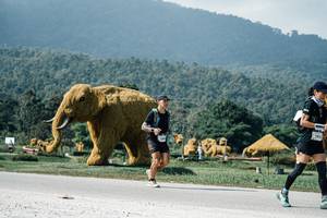 BIB: 
                            <button type="button" onclick="openModal(25920518)" class="btn btn-primary btn-sm float-right btn-popup" data-toggle="modal" data-target=".modal-high-quality">
                        <i class="fas fa-shopping-cart"></i> Add to Cart
                    </button>
                                            <button type="button" onclick="isThisMe(25920518, true)" class="btn btn-success btn-sm float-right btn-popup btn-isme hidden" data-toggle="tooltip" data-placement="bottom" title="นี่คือรูปของคุณใช่ไหม คลิกที่นี่เพื่อเอาเข้าอัลบั้ม">
                        <i class="fas fa-plus"></i> Add to album
                    </button>
                    <button type="button" onclick="isThisMe(25920518, false)" class="btn btn-warning btn-sm float-right btn-popup btn-isnotme hidden">
                        <i class="fas fa-ban"></i> Remove from album
                    </button>