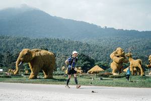 BIB: 
                            <button type="button" onclick="openModal(25912674)" class="btn btn-primary btn-sm float-right btn-popup" data-toggle="modal" data-target=".modal-high-quality">
                        <i class="fas fa-shopping-cart"></i> Add to Cart
                    </button>
                                            <button type="button" onclick="isThisMe(25912674, true)" class="btn btn-success btn-sm float-right btn-popup btn-isme hidden" data-toggle="tooltip" data-placement="bottom" title="นี่คือรูปของคุณใช่ไหม คลิกที่นี่เพื่อเอาเข้าอัลบั้ม">
                        <i class="fas fa-plus"></i> Add to album
                    </button>
                    <button type="button" onclick="isThisMe(25912674, false)" class="btn btn-warning btn-sm float-right btn-popup btn-isnotme hidden">
                        <i class="fas fa-ban"></i> Remove from album
                    </button>