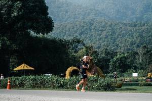 BIB: 
                            <button type="button" onclick="openModal(25871436)" class="btn btn-primary btn-sm float-right btn-popup" data-toggle="modal" data-target=".modal-high-quality">
                        <i class="fas fa-shopping-cart"></i> Add to Cart
                    </button>
                                            <button type="button" onclick="isThisMe(25871436, true)" class="btn btn-success btn-sm float-right btn-popup btn-isme hidden" data-toggle="tooltip" data-placement="bottom" title="นี่คือรูปของคุณใช่ไหม คลิกที่นี่เพื่อเอาเข้าอัลบั้ม">
                        <i class="fas fa-plus"></i> Add to album
                    </button>
                    <button type="button" onclick="isThisMe(25871436, false)" class="btn btn-warning btn-sm float-right btn-popup btn-isnotme hidden">
                        <i class="fas fa-ban"></i> Remove from album
                    </button>